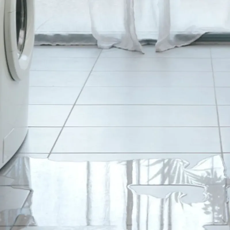 Appliance Leak Cleanup in Green Springs, OH