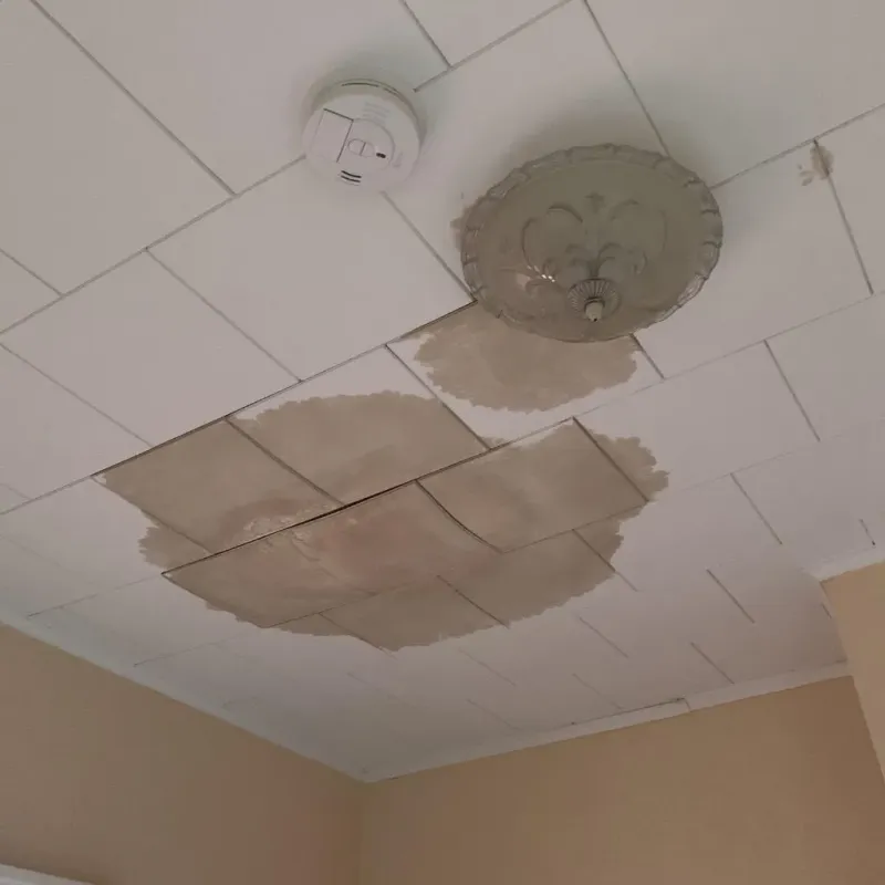 Ceiling Water Damage Repair in Green Springs, OH