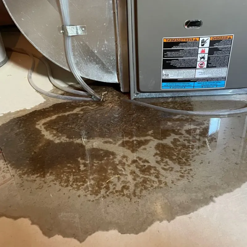 Pipe Burst and Leak Restoration in Green Springs, OH