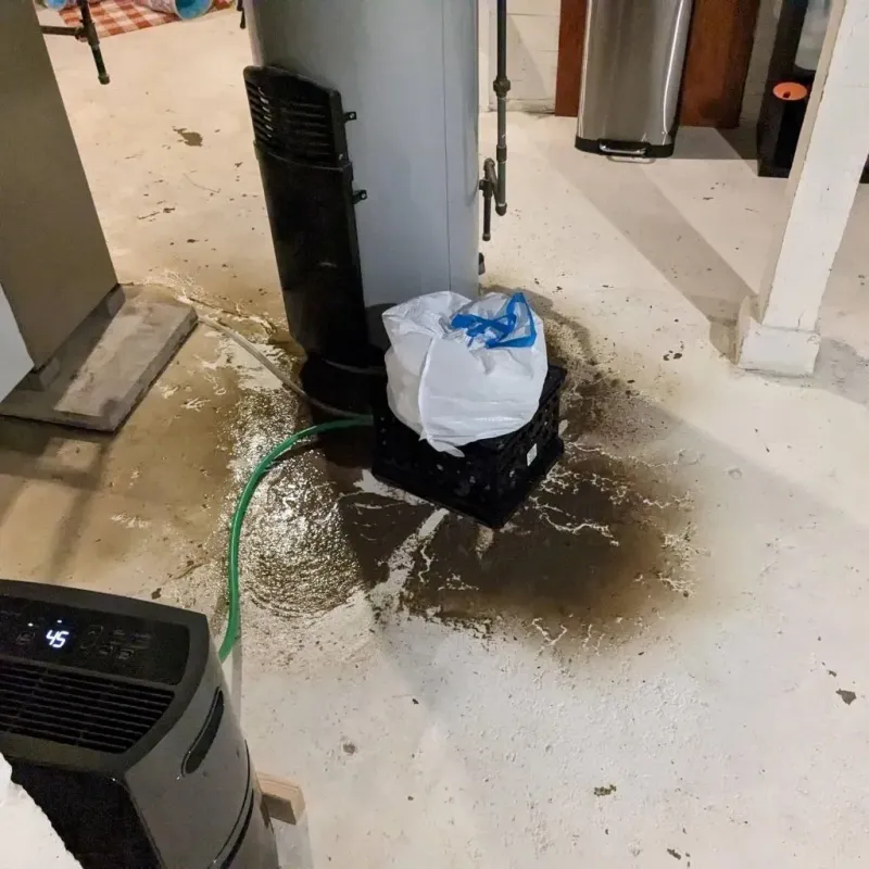 Sewage Backup Cleanup Service in Green Springs, OH
